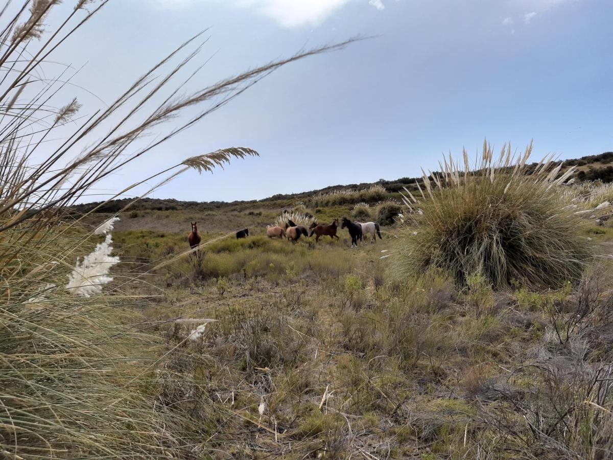 La Antonieta Estancia De Mar Dos Pozos Luaran gambar